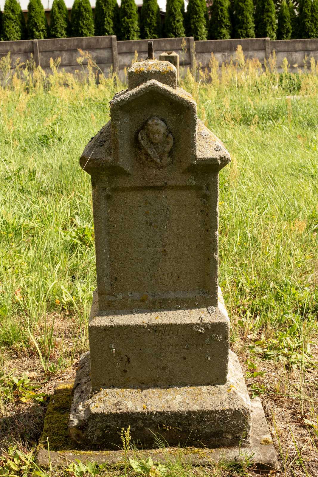 Wojciech Orszulak — zdjęcie 1