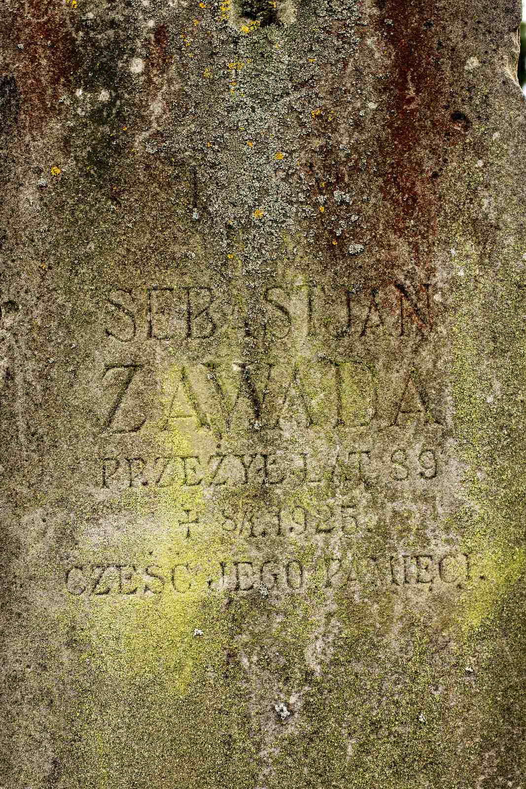 Nagrobek: Sebastian Zawada