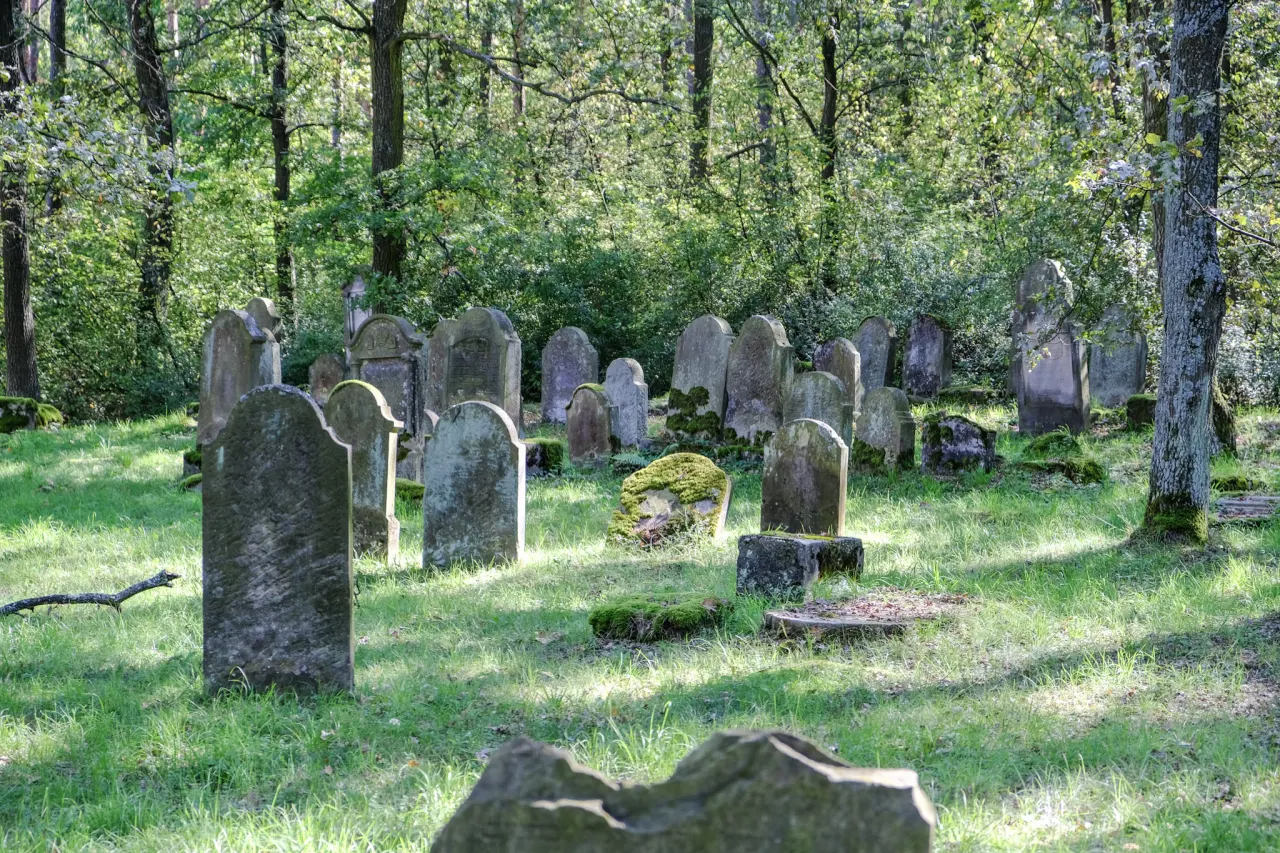 Cmentarz żydowski w Szczucinie — dziś